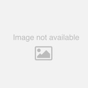 Domaine Eric Boigelot Meursault 1er Les Caillerets 2023