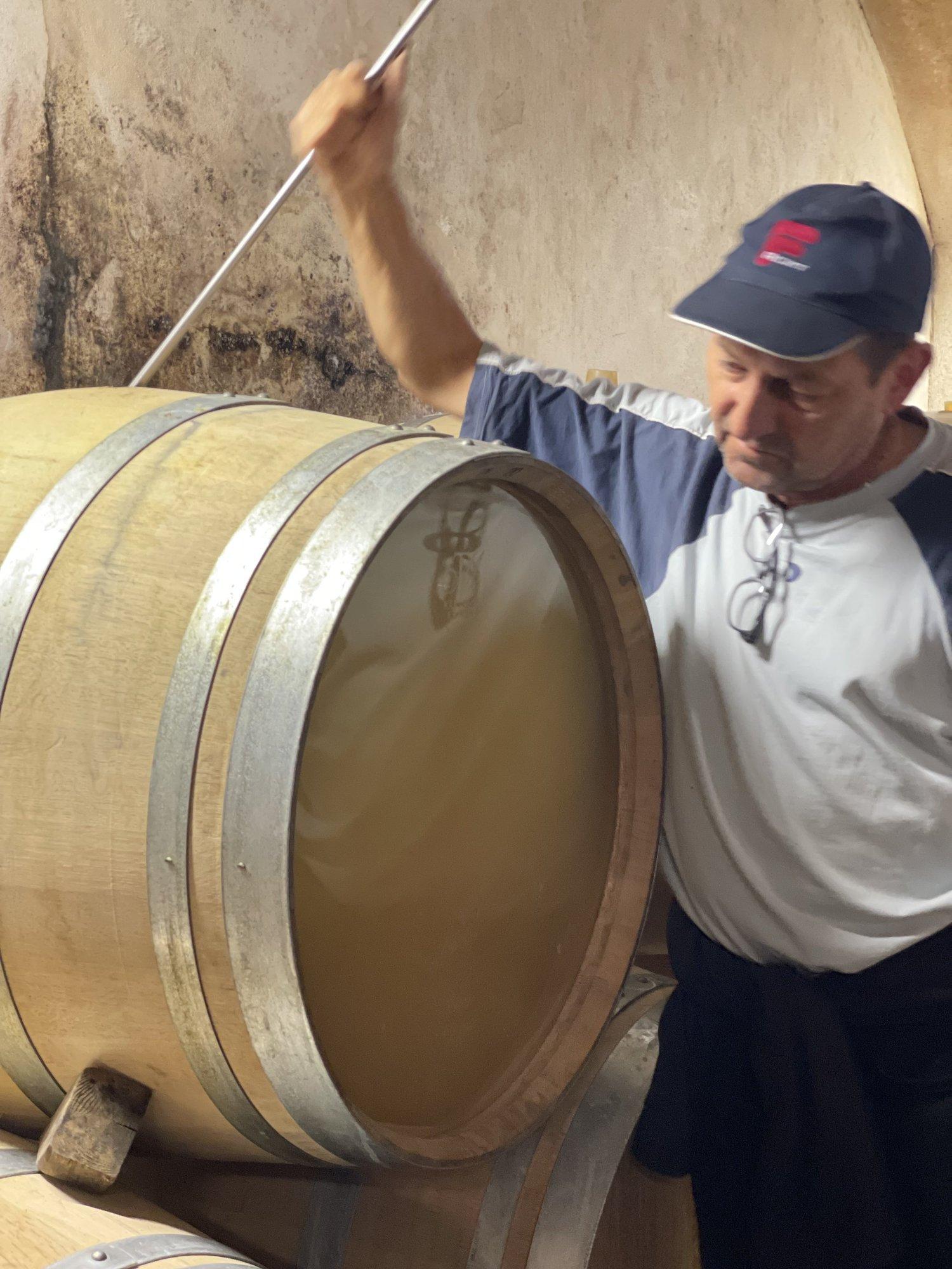 Historic Burgundy wine cellar